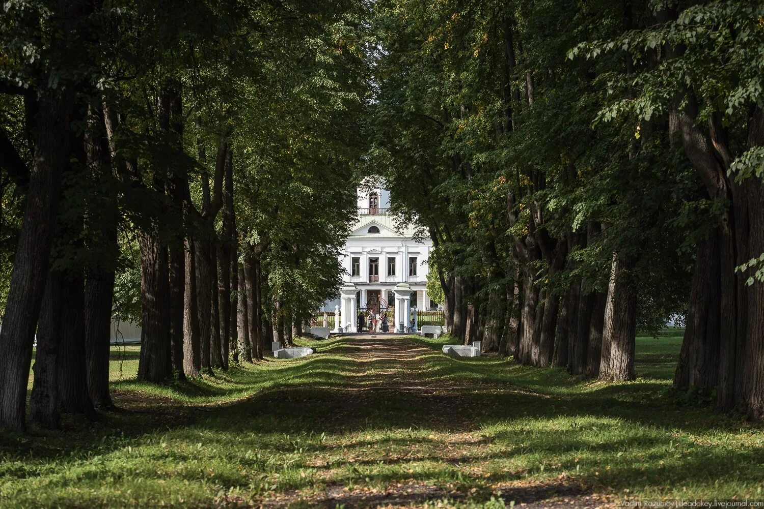 Культурное пространство усадьба. Усадьба Лермонтова Середниково. Солнечногорск усадьба Лермонтова. Усадьба Середниково в Подмосковье. Фирсановка усадьба Середниково.