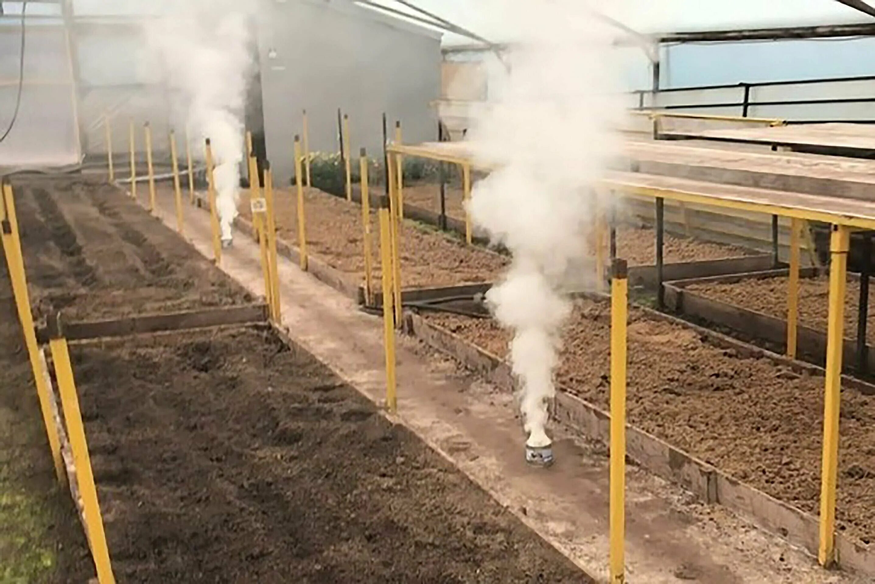 шашки дымовые для дезинфекции теплиц. шашки дымовые для дезинфекции теплиц. серная шашка в теплице из поликарбоната. серная шашка обработка теплицы. окуривание теплицы табачной шашкой.