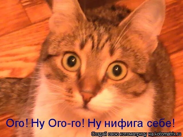 Открытки ничего себе. Ничоси стикеры. Удивлённый смайлик. Ого ни. Картинка ого.