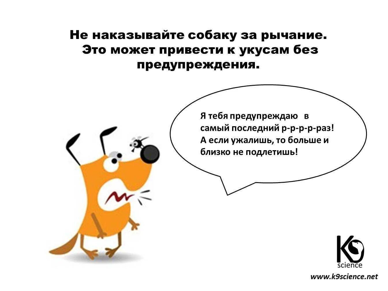 Как наказать собаку. Способы наказания собак. Собака наказана. Как правильно наказывать собаку за непослушание. Собаку оштрафовали