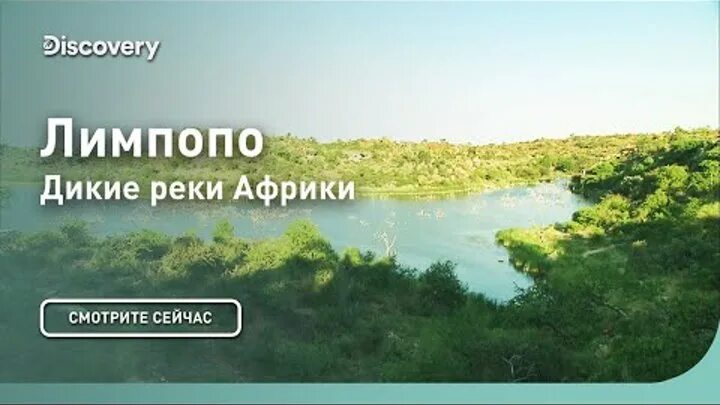 Лимпопо Дикие реки Африки Discovery. Дискавери реки Африки. Луангва _ Дикие реки Африки _ Discovery. Река Лимпопо для детей.