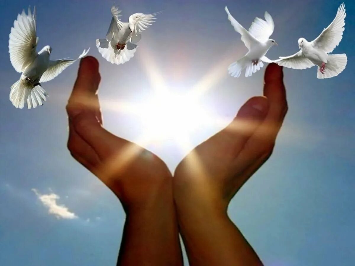 божьих благословений. мирно благо. радость души. добро картинки. человек и природа.