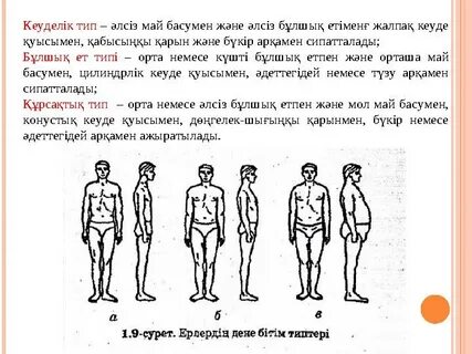 Брэндон мен Стелла туралы порно әңгімелер