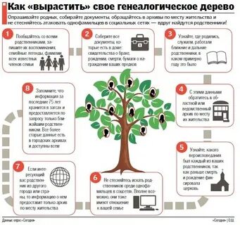 Как найти свой род
