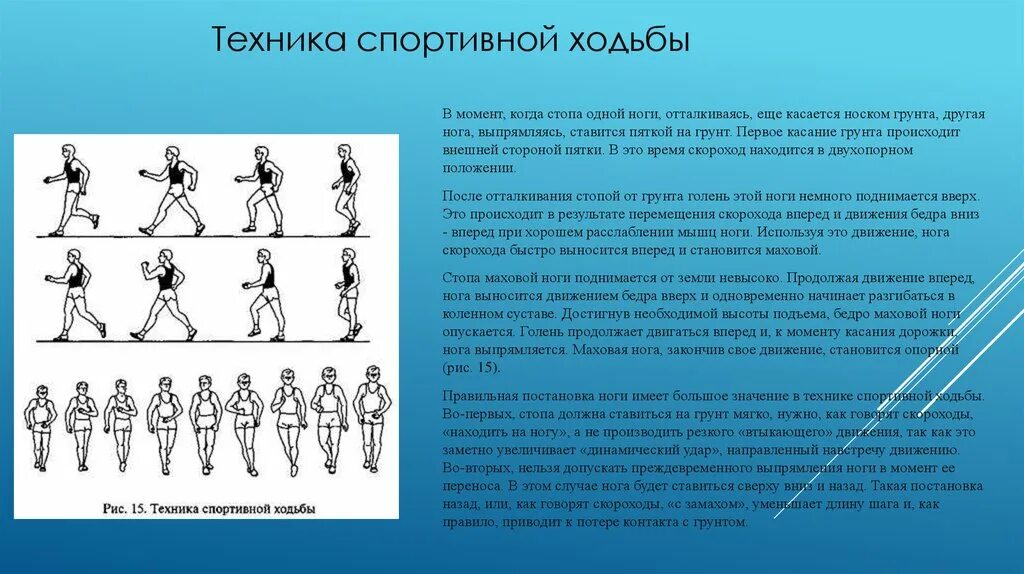 Основы спортивной ходьбы. Основы техники ходьбы. Спортивная ходьба техника. 1. Основы техники ходьбы. Шагай техника