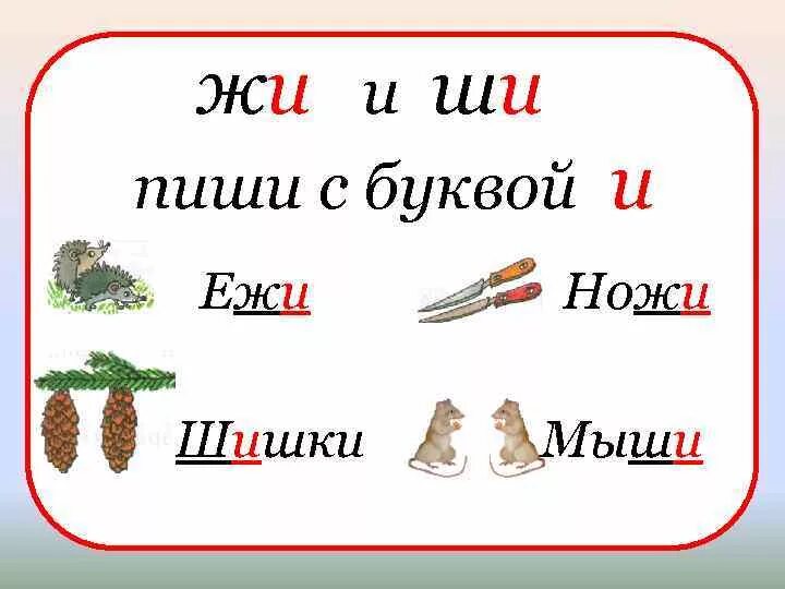 Правило жи-ши для дошкольников. Жи ши с буквой и. Правила жи ши пиши с буквой и. Правиложи-ши ПИИ С буквой и.