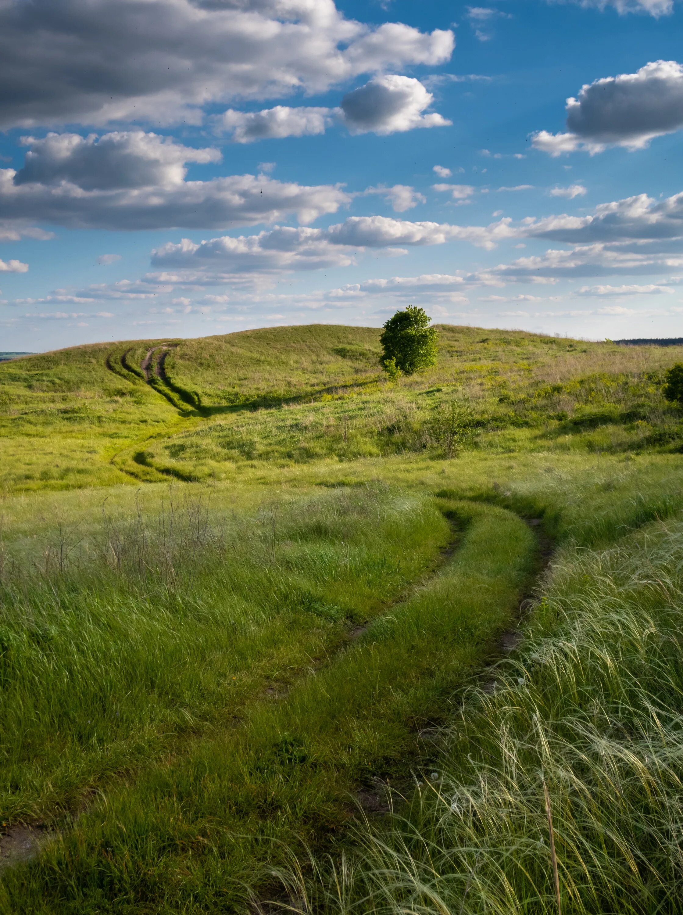 Гольф в старом осколе. Парк зеленый лог старый оскол. Гольф клуб старый оскол. Поле старый оскол. Старый оскол белгородская область.