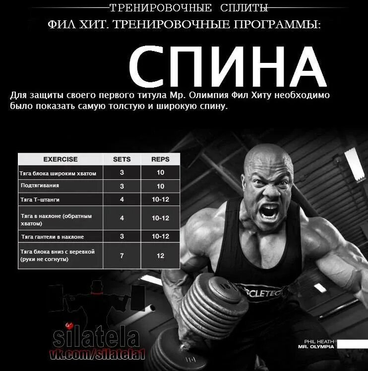 25 тренировок программа тренировок. Сплит программа тренировок. бодибилдинг программы тренировок. план тренировок для набора мышечной массы. тренировочная программа сплит.