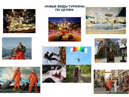 Выбери виды туризма
