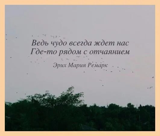 Чудо всегда рядом