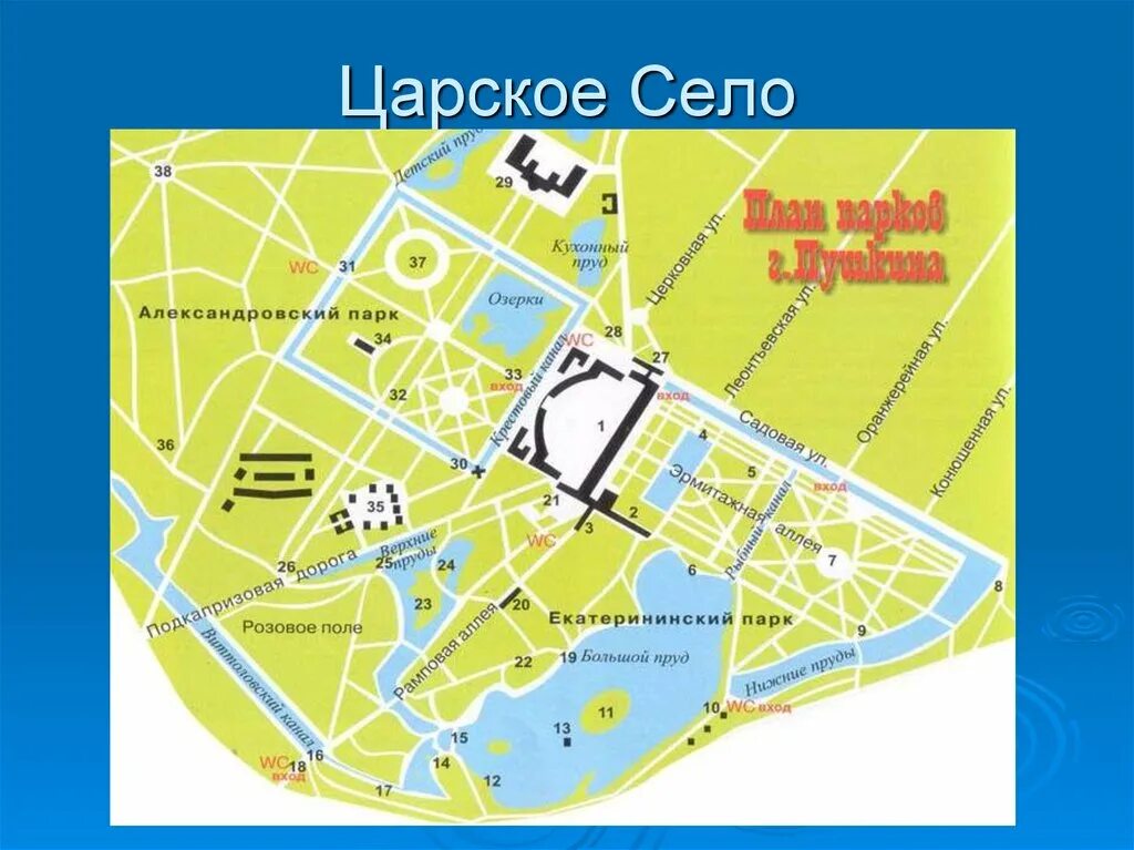 План парка Пушкин Царское село. Екатерининский парк в Пушкине план. Царское село Александровский парк и Екатерининский план. План парка Екатерининского дворца в Царском селе.