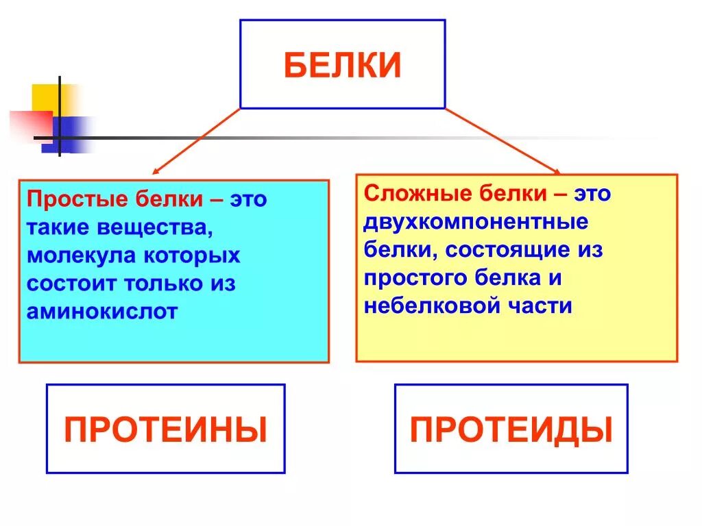 Сложные белки группы. Сложные и простые белки разница. Простые и сложные белки. ПРОСИТЫЕ ми сложные белки. Бклуи простые и сложные.