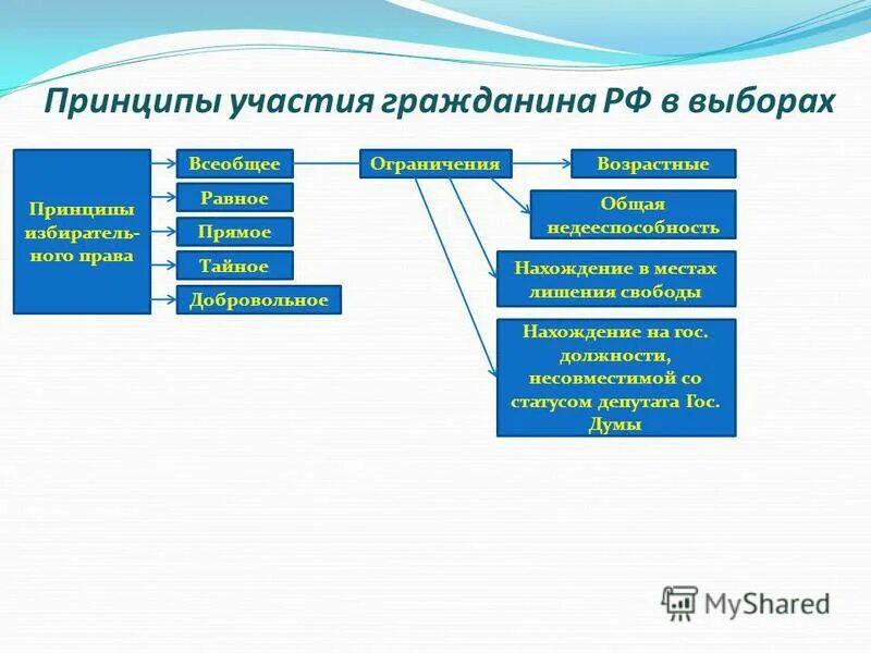 Принципы участия граждан в выборах. Принципы участия граждан РФ В выборах. Принципы выборов всеобщие тайные. Принцип прямого участия в выборах. Всеобщие выборы в рф