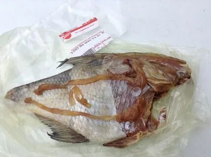 Лещ внутренности