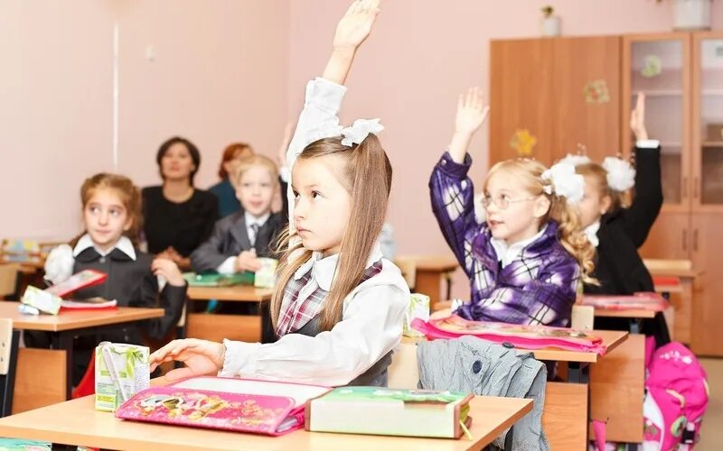 Двадцать пять учеников