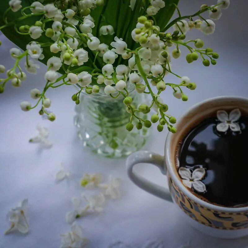 Чудесного утра. Пожелания с добрым весенним утром. Доброго весеннего дня. Весенние доброе утречко и хорошего настроения. Доброе утро хорошо настроение.