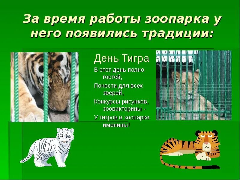 Сообщение о зоопарке с тигром. Работа в зоопарке. Кто работает в зоопарке профессии для детей. Изменения у зоопарковских животных. Деятельность зоопарков