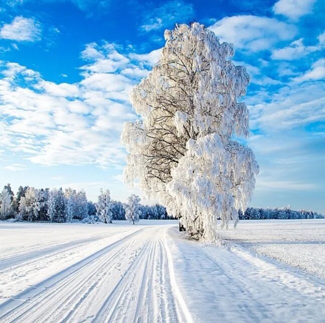 Зима казалось. Я зимой. Зима казалось. Зима казалось. Как я буду выглядеть зимой.