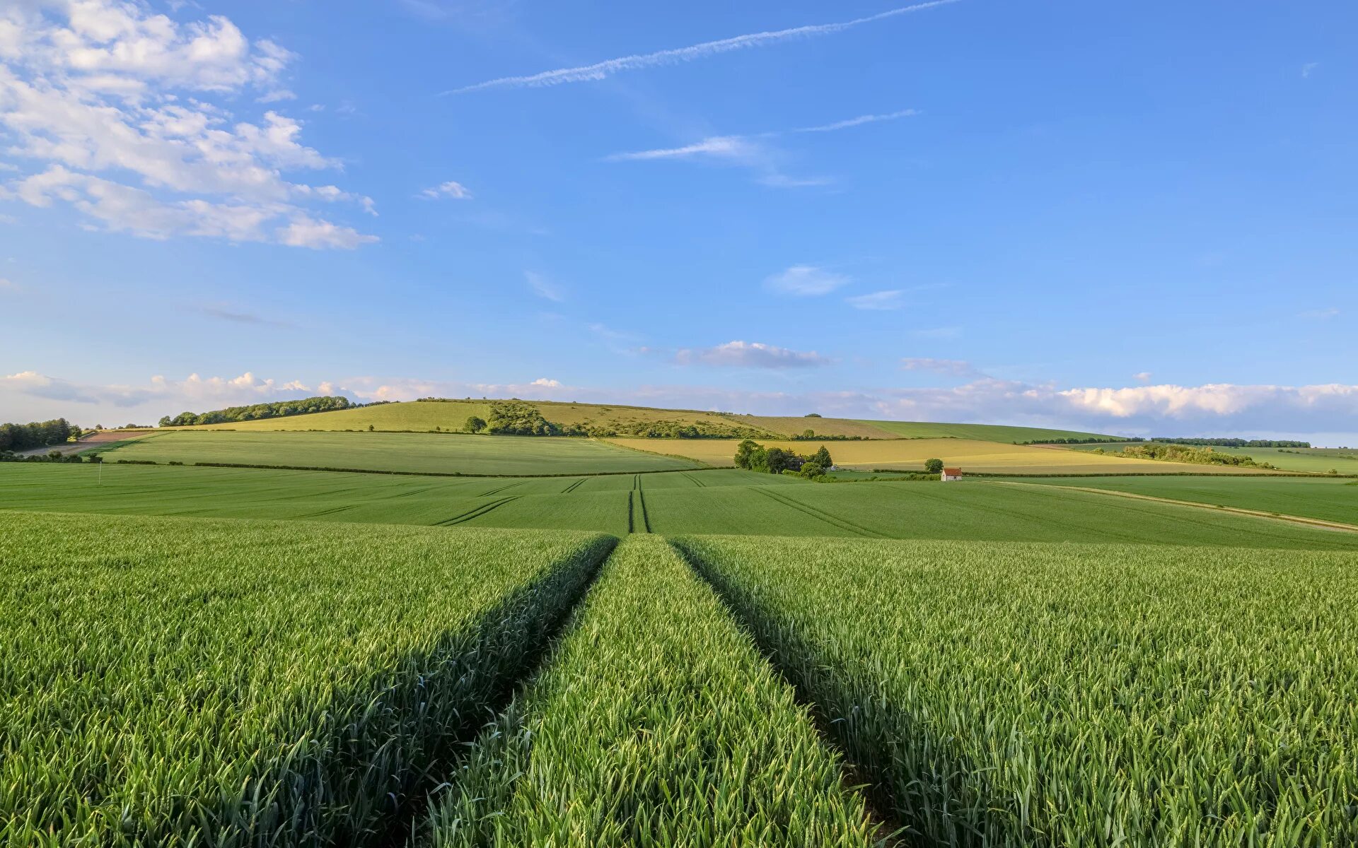 Main fields. Великобритания пахотные земли. Земли сельскохозяйственного назначения земли СХН. Поля. Земли сельскох назначения.