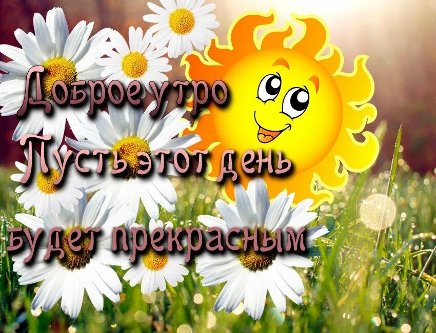 Благодаря удачному дню у нас все