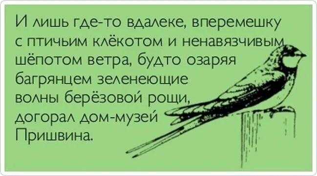 Проснешься как птица крылатой. Догорает дом музей Пришвина. Почему люди не летают как птицы. Догорает музей Пришвина анекдот. Почему люди не летают как птицы прикол.