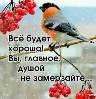 Пора добра