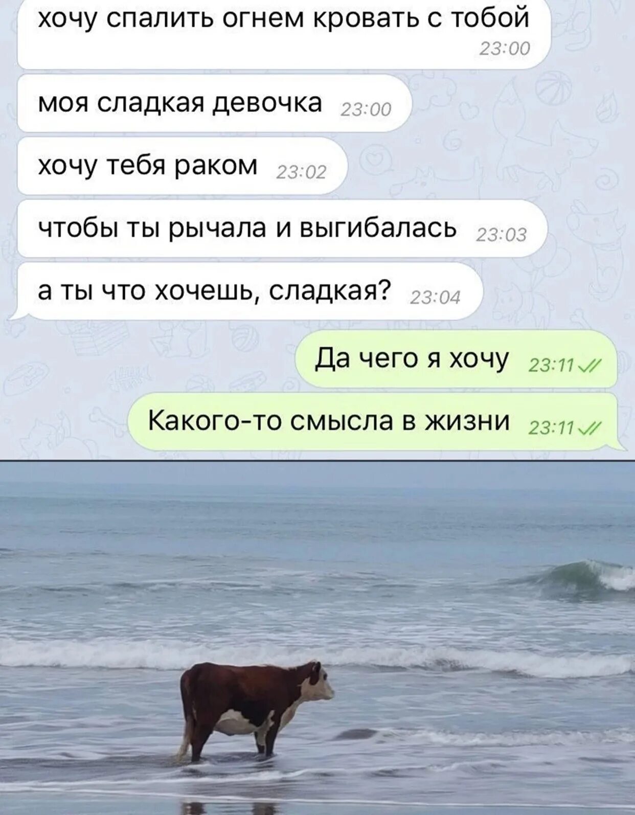 Переписка в социальных. Смешные переписки. смешные переписки в социальных сетях. фото смешных переписок. веселые переписки в соц сетях.