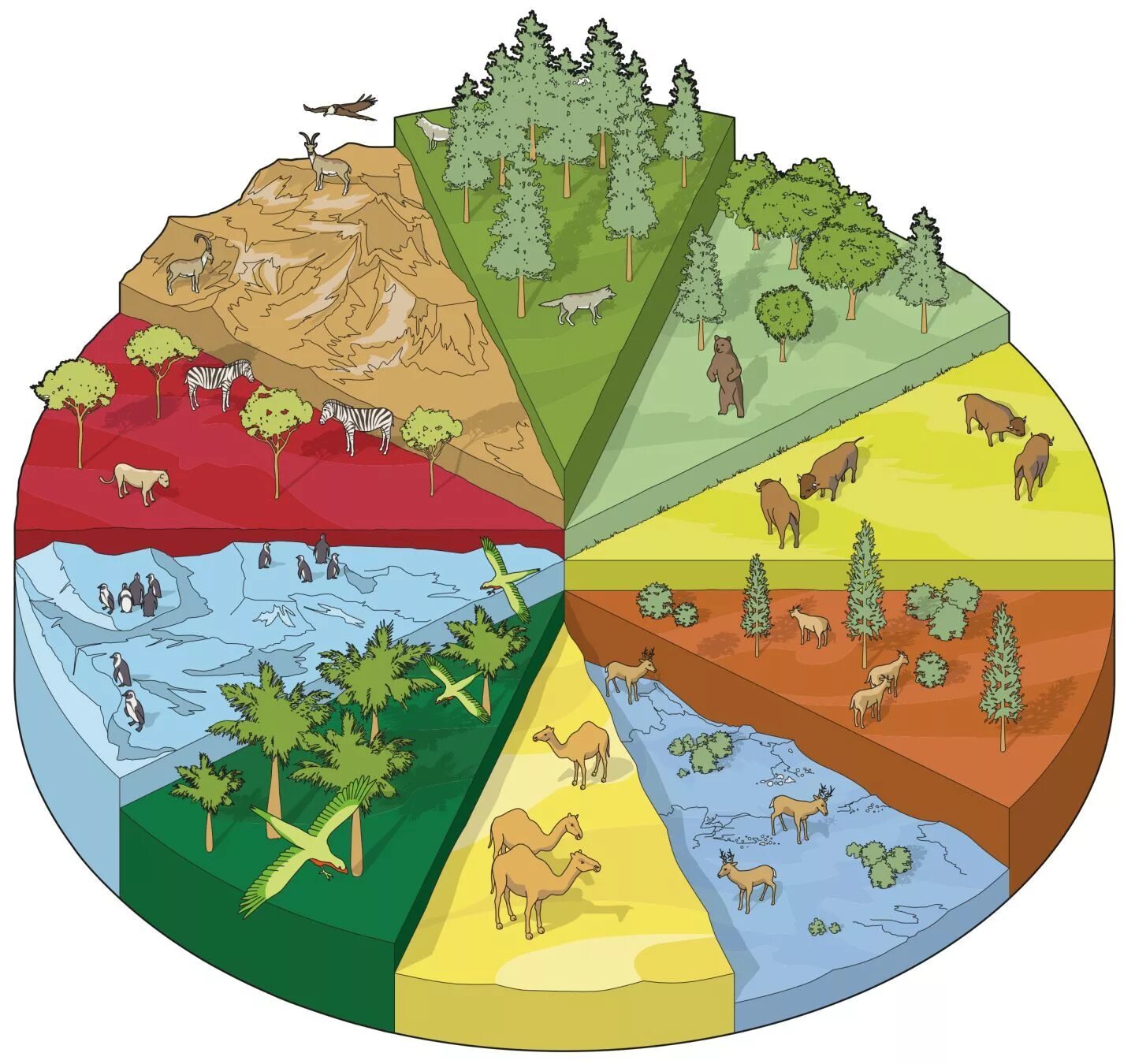 Types of natural. Экологическое разнообразие. Биоразнообразие в экосистеме. Биологическое разнообразие. Экосистема земли.