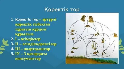 Гран Канарияның жезөкшелері