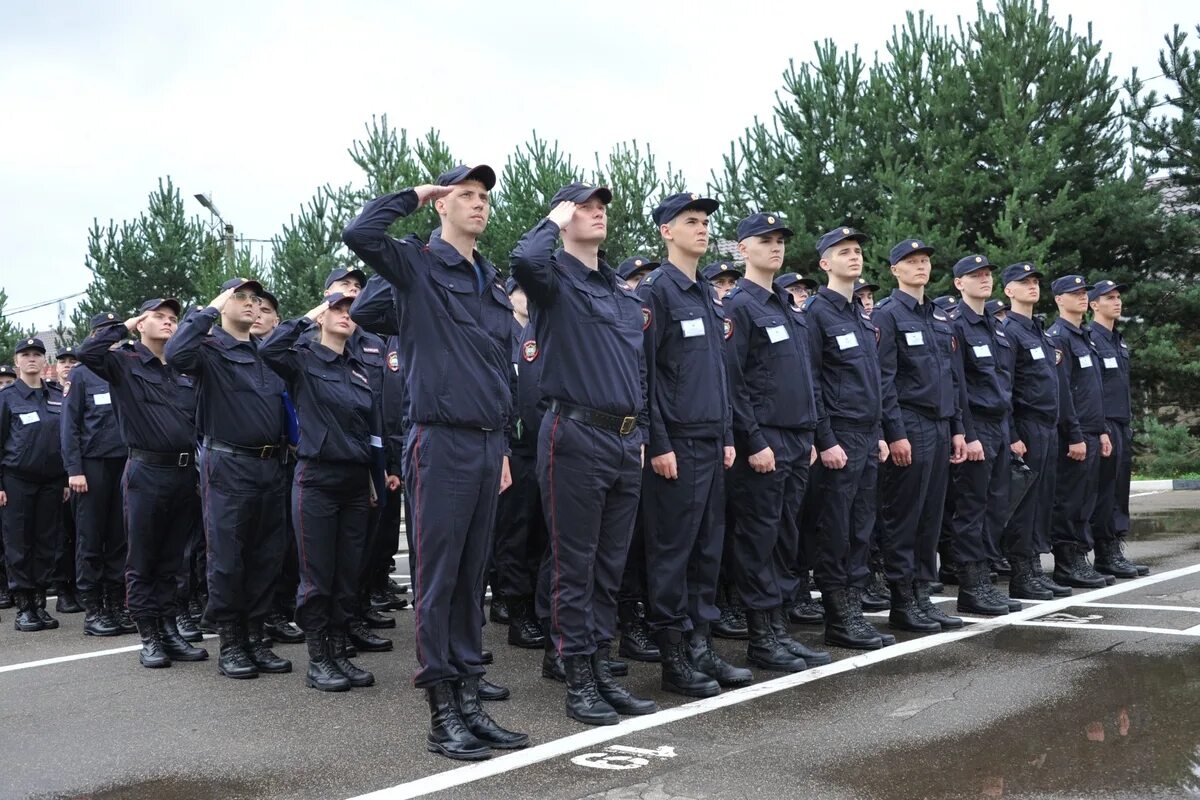 Кикотя университет мвд руза. Мвд кикотя в беляево. Московские филиалы кикотя. Я кикотя. Тверской филиал мосу мвд рф.