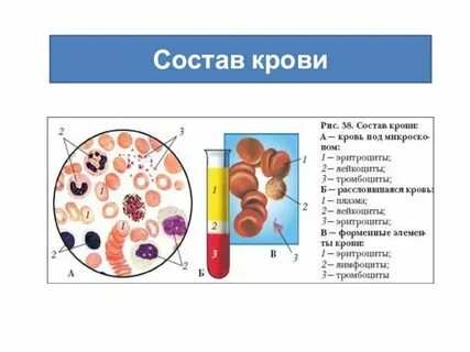 Стр кро