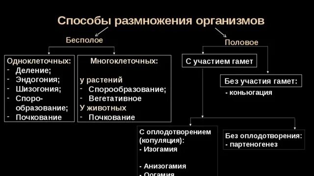 Отличия бесполого размножения. Половое размножение способы. Способы полового размножения организмов. Способы бесполого размножения растений и животных. Размножение многоклеточных.