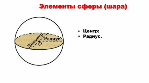 Круглое туловище
