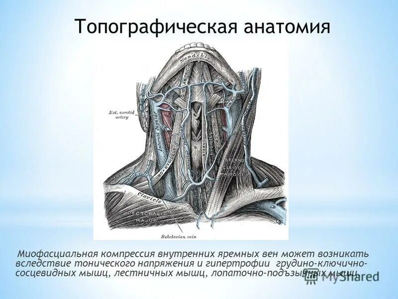 Венозная дисциркуляция головного мозга