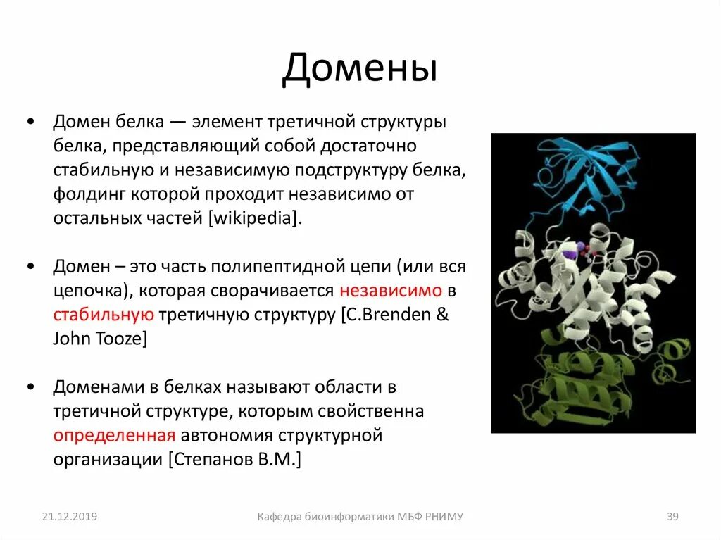 Белковый элемент. Домены третичной структуры белка. Доменная структура белков. Доменная структура белка. Доменная структура белков биохимия.