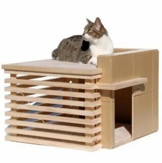Cats house 2