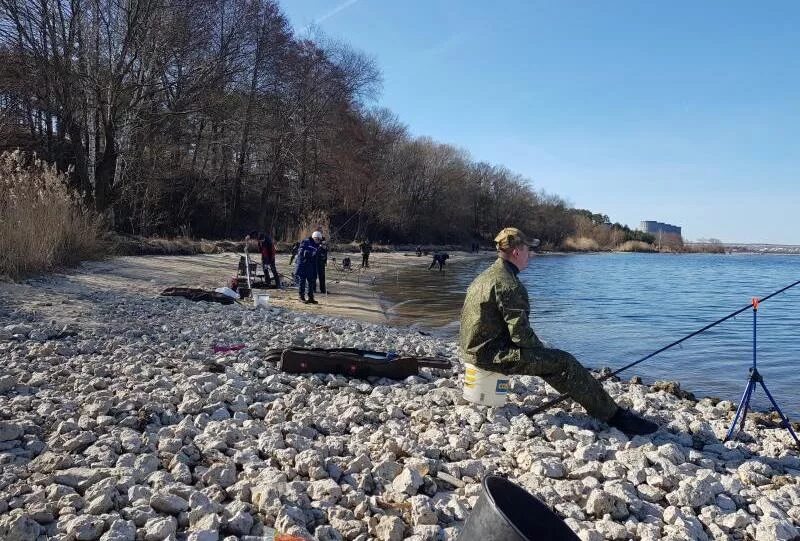 Рыбалка аэс. Нововоронеж водохранилище. Нововоронежский пруд охладитель. Тилапия в Нововоронежском водохранилище. Нововоронеж водохранилище рыбалка.