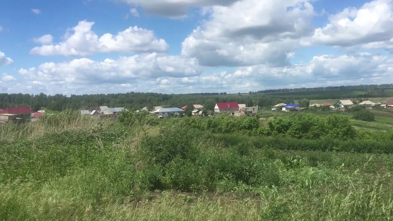 Погода шахи алтайский. Школа шахи павловский район. Шахи алтайский край. Шахи алтайский край павловский район. Село шахи павловского района алтайского края.