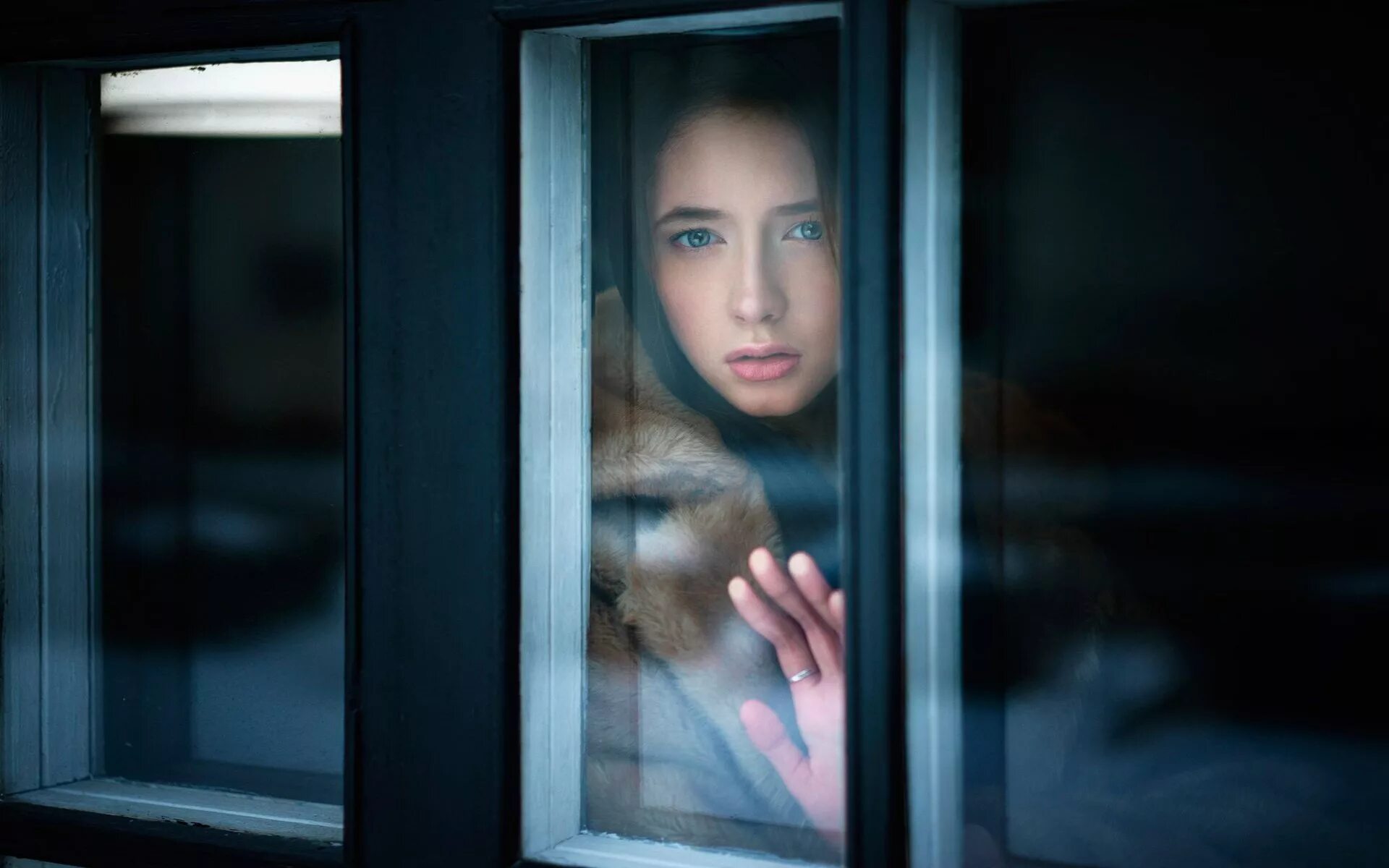 свердлов взгляд на жизнь через окно генома