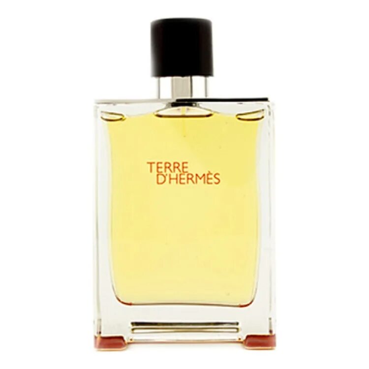 Вода hermes terre d hermes. Hermes Terre d'Hermes Pure Parfum 100 ml. Гермес Terre d'Hermes intense Vetiver. Hermes Terre d'Hermes, 2006. Hermes Terre d'Hermes EDT M.