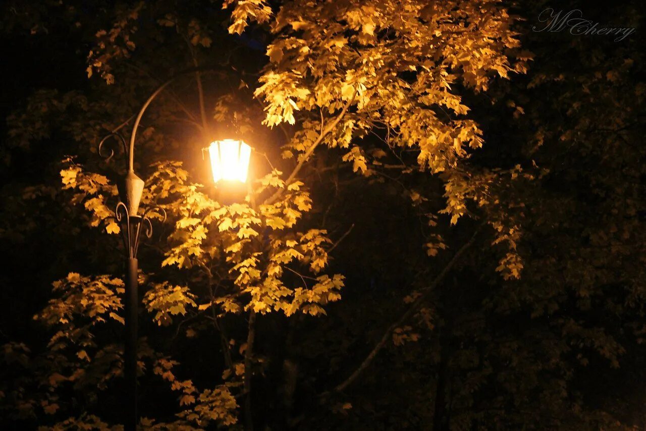 Доброй осенней ночи красивое. Осенний вечер. Осень вечер. Осень ночь. Доброй осенней ночи.