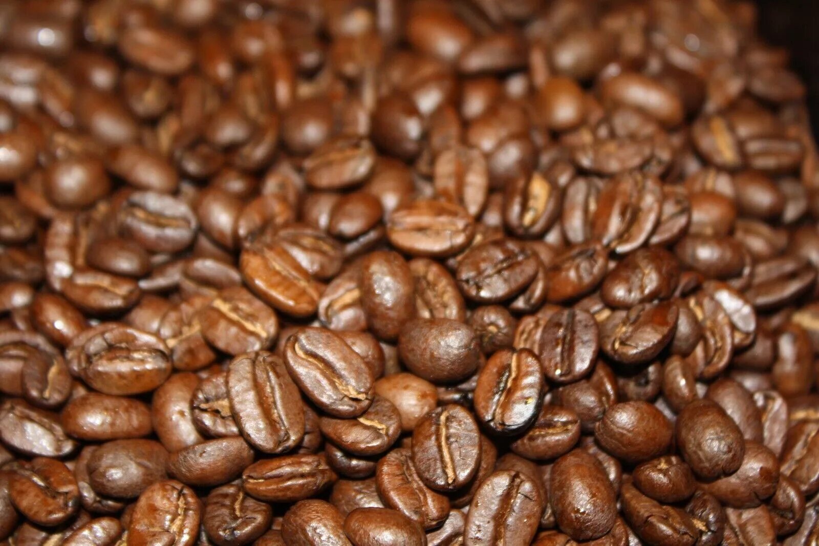 Какой сорт кофе самый лучший. Кофе beans costa rica. медельин сорт кофе. лучшие сорта кофе. кофе по сортам.