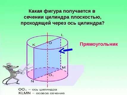 Сечение пересекающее ось цилиндра