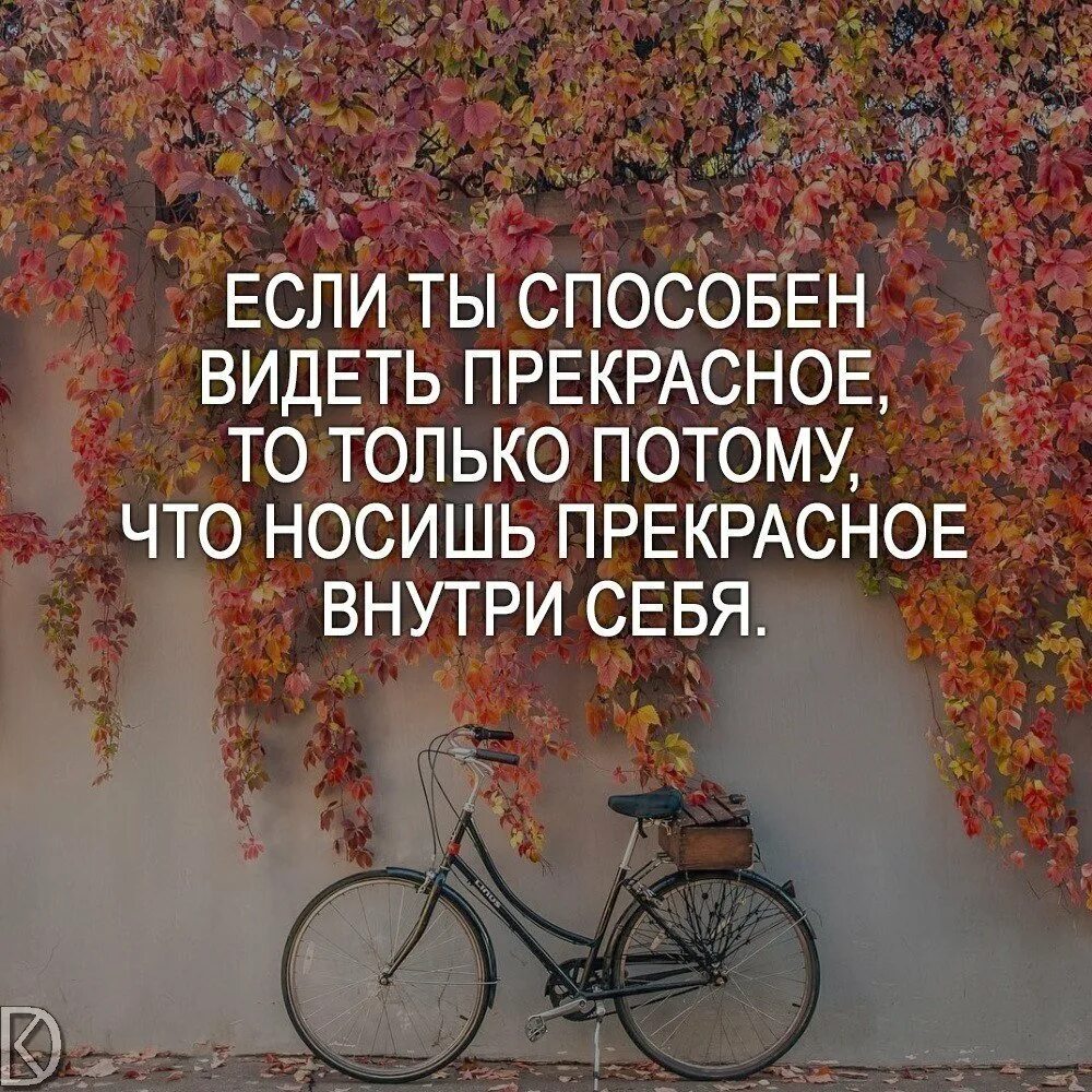 Фразы для вдохновения. Цитаты про творчество. Креативные высказывания. Афоризмы о творчестве и Вдохновении