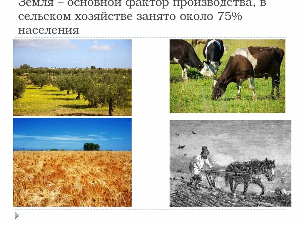 Земля фактор производства. Земля как фактор производства. Земля основной фактор производства. Земля как фактор производства картинки. Производственным фактором земля называют