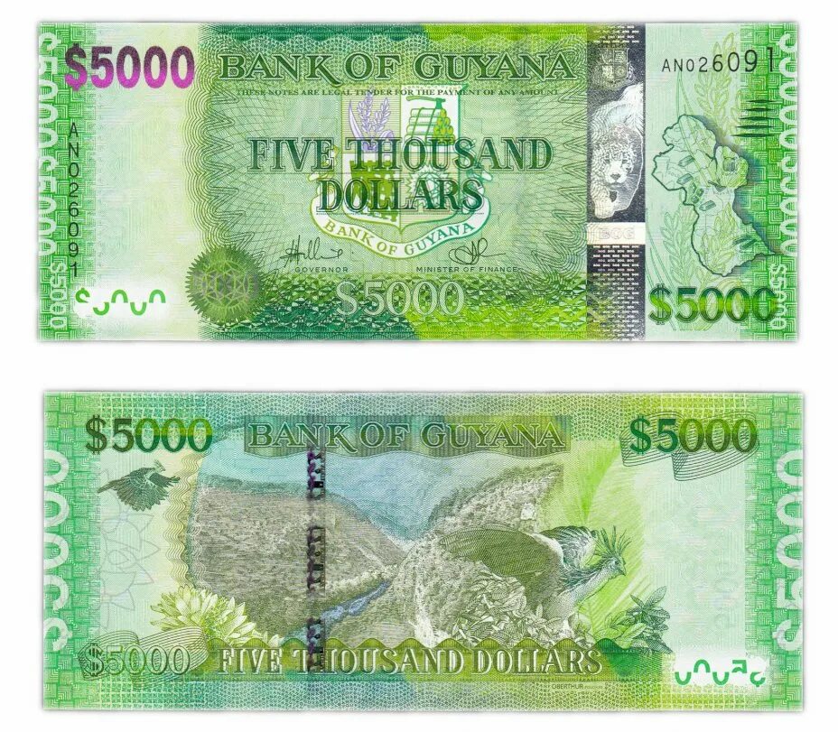 Банкноты Гайаны. Доллар Гайаны. Гайана деньги. 5000 Долларов купюра.