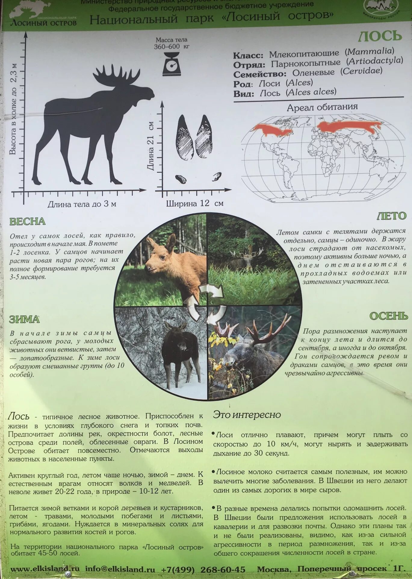 Лось обитание в россии. Национальный парк Лосиный остров биостанция. Лось место обитания. Ареал обитания лосей в России. Ареал лося в России.