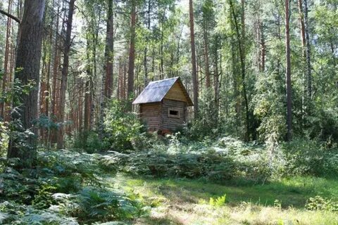 Велесов лес тула