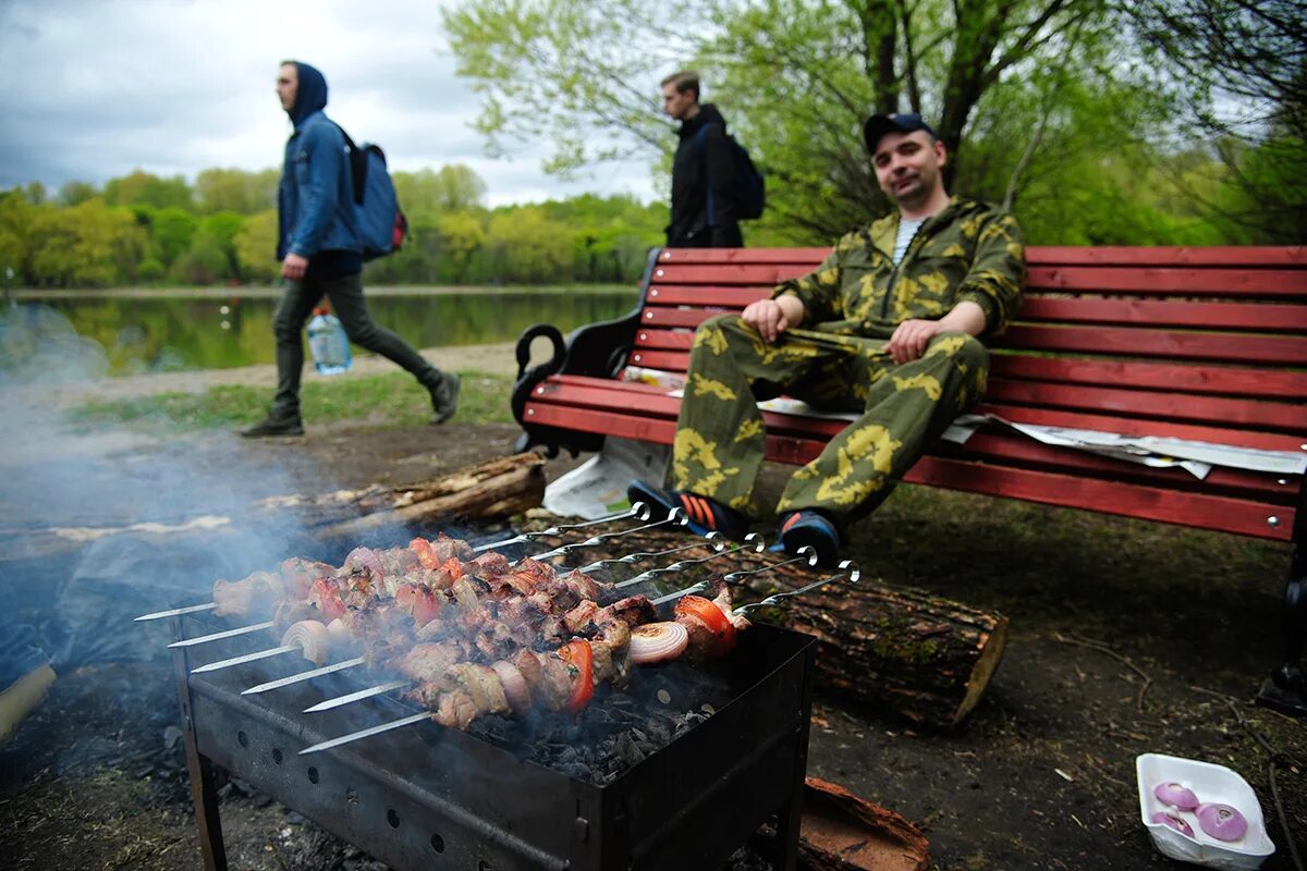 Можно ли жарить шашлык 2025 год. Шашлыки на природе. шашлыки в парке. россияне на шашлыках. жарим шашлык на природе.