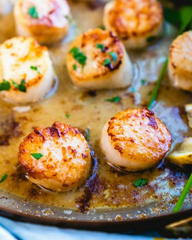 Как готовить гребешки морские на сковороде. Pan Seared Scallops. Морской гребешок жареный. Морской гребешок приготовленный. Жареные гребешки.